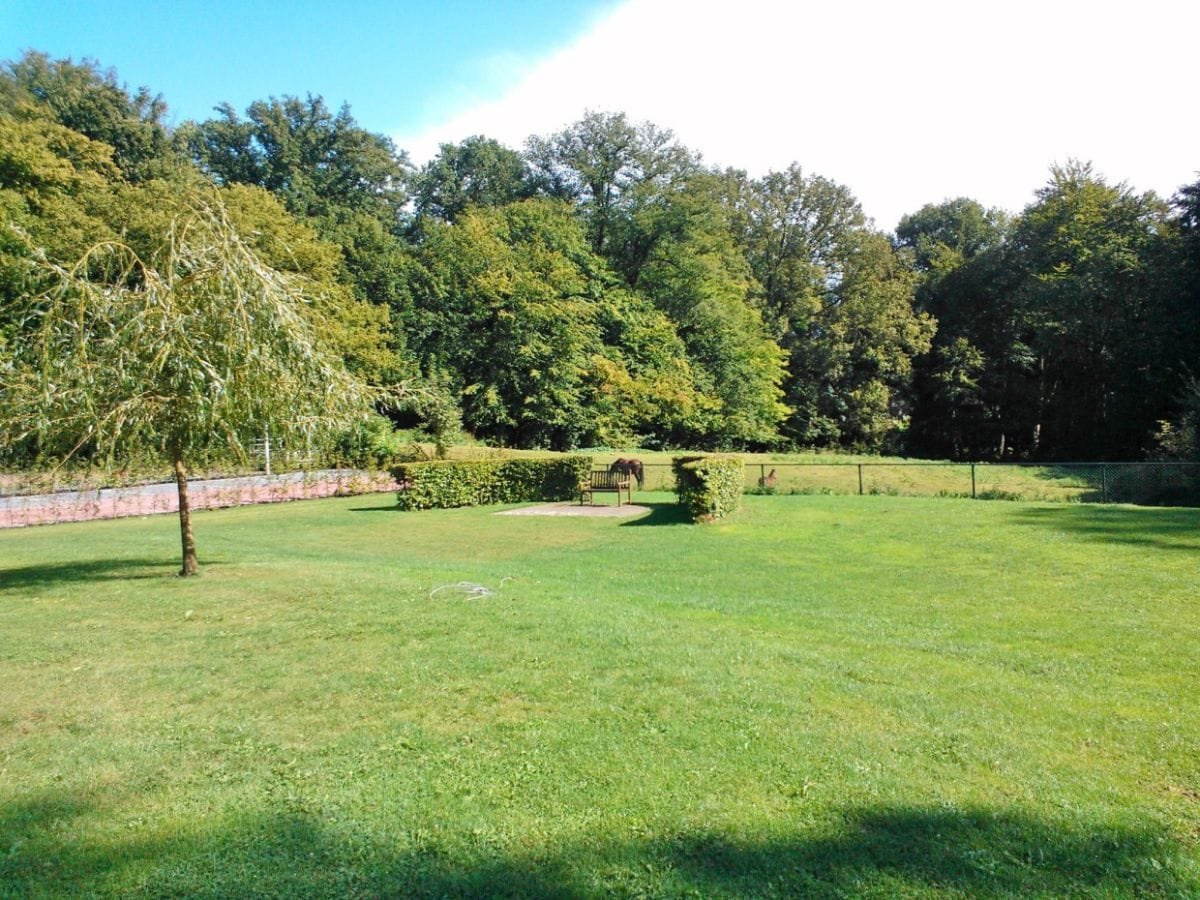 groepsaccommodatie-nijmegen-berg-en-dal-26-personen-10-slaapkamers-5 Veel groen rondom het huis