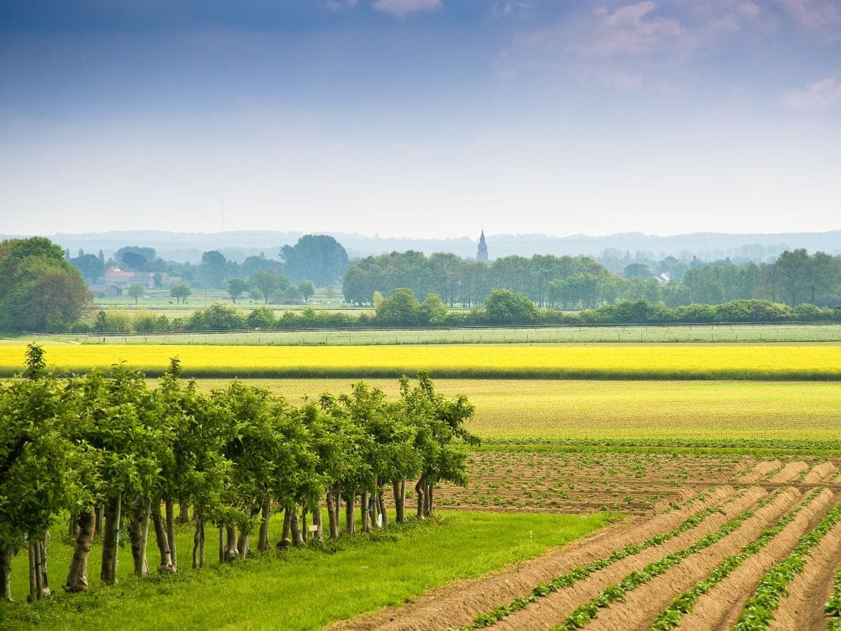 omgeving-rijk-van-nijmegen-12 Landerijen bij Groesbeek