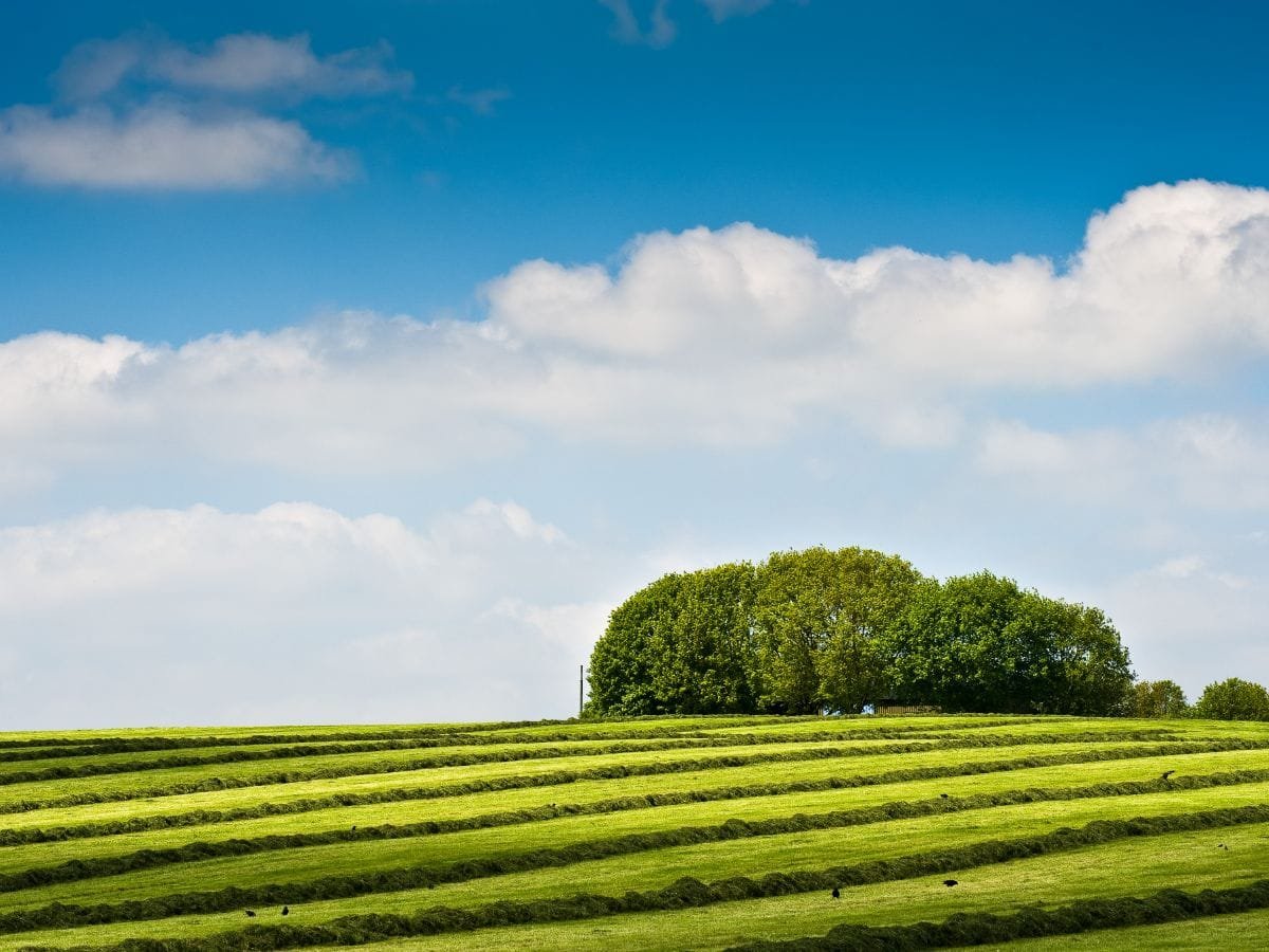 omgeving-rijk-van-nijmegen-15 Glooiende weilanden in Berg en Dal