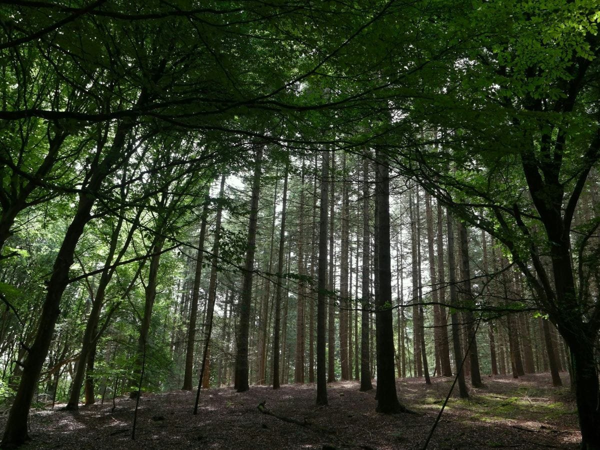 omgeving-rijk-van-nijmegen-17 Jansberg in Groesbeek