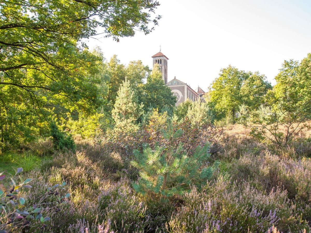 Natuur & cultuur in omgeving Nijmegen