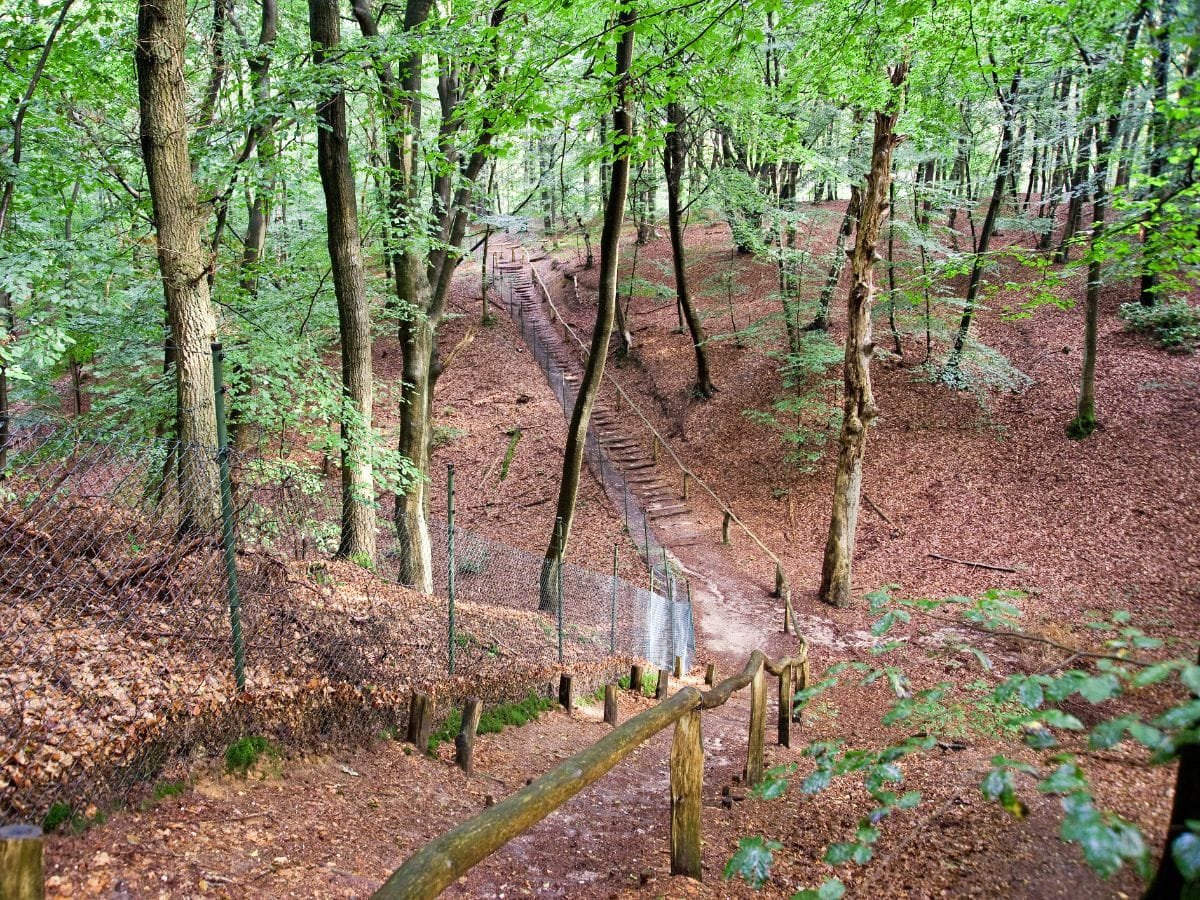 omgeving-rijk-van-nijmegen-4 Bos in het Rijk van Nijmegen