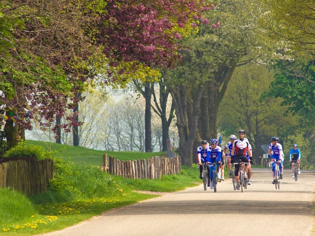 Wielrenners in het Rijk van Nijmegen
