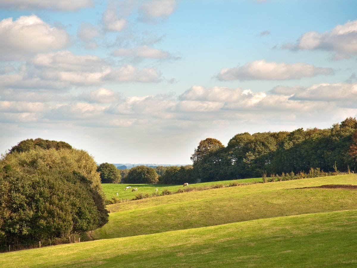 Heuvelgebied in het Rijk van Nijmegen