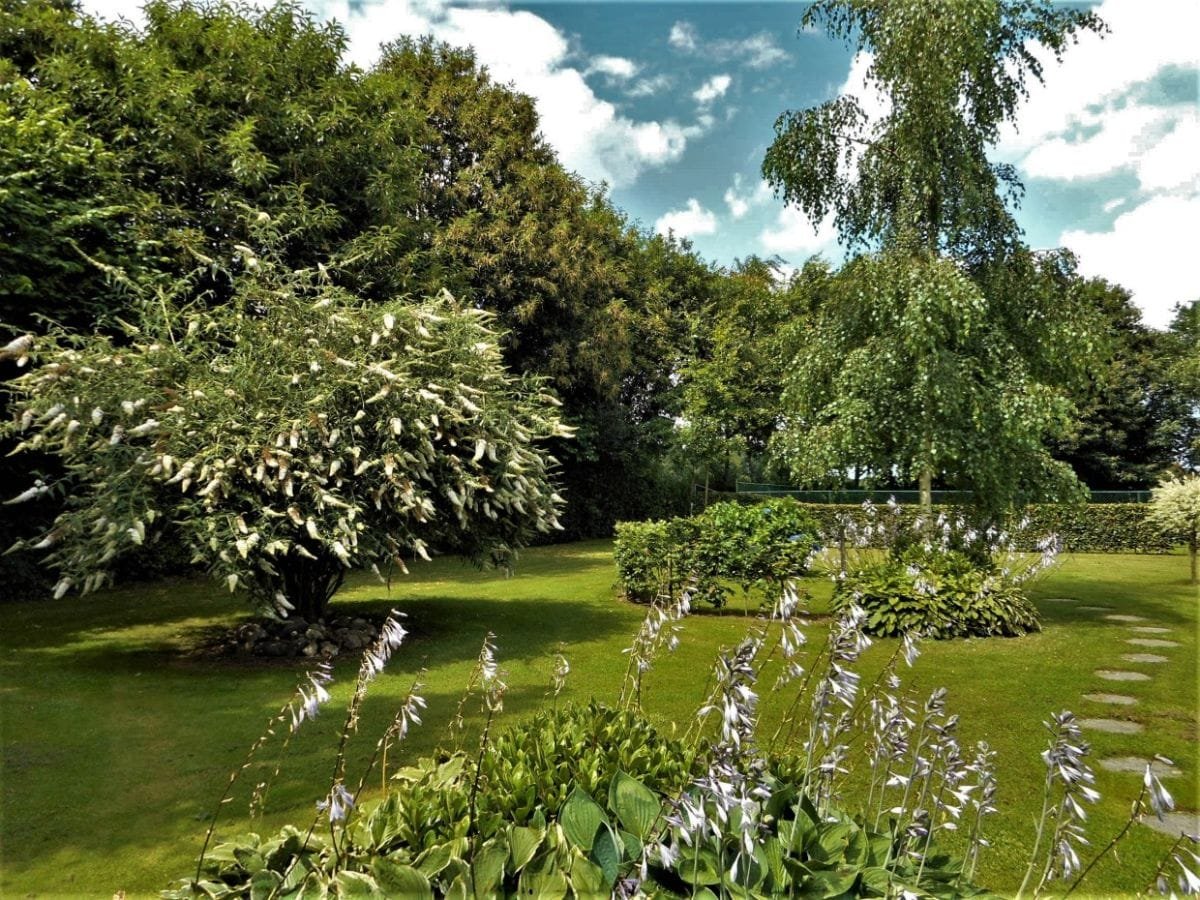 Prachtige grote tuin voor groepen