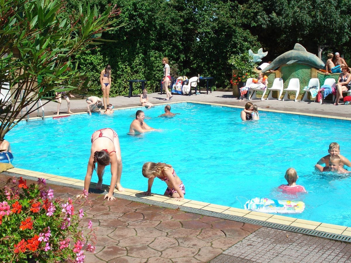 groepsaccommodatie-60-personen-3 Zwembad bij het groepshuis voor 60 personen